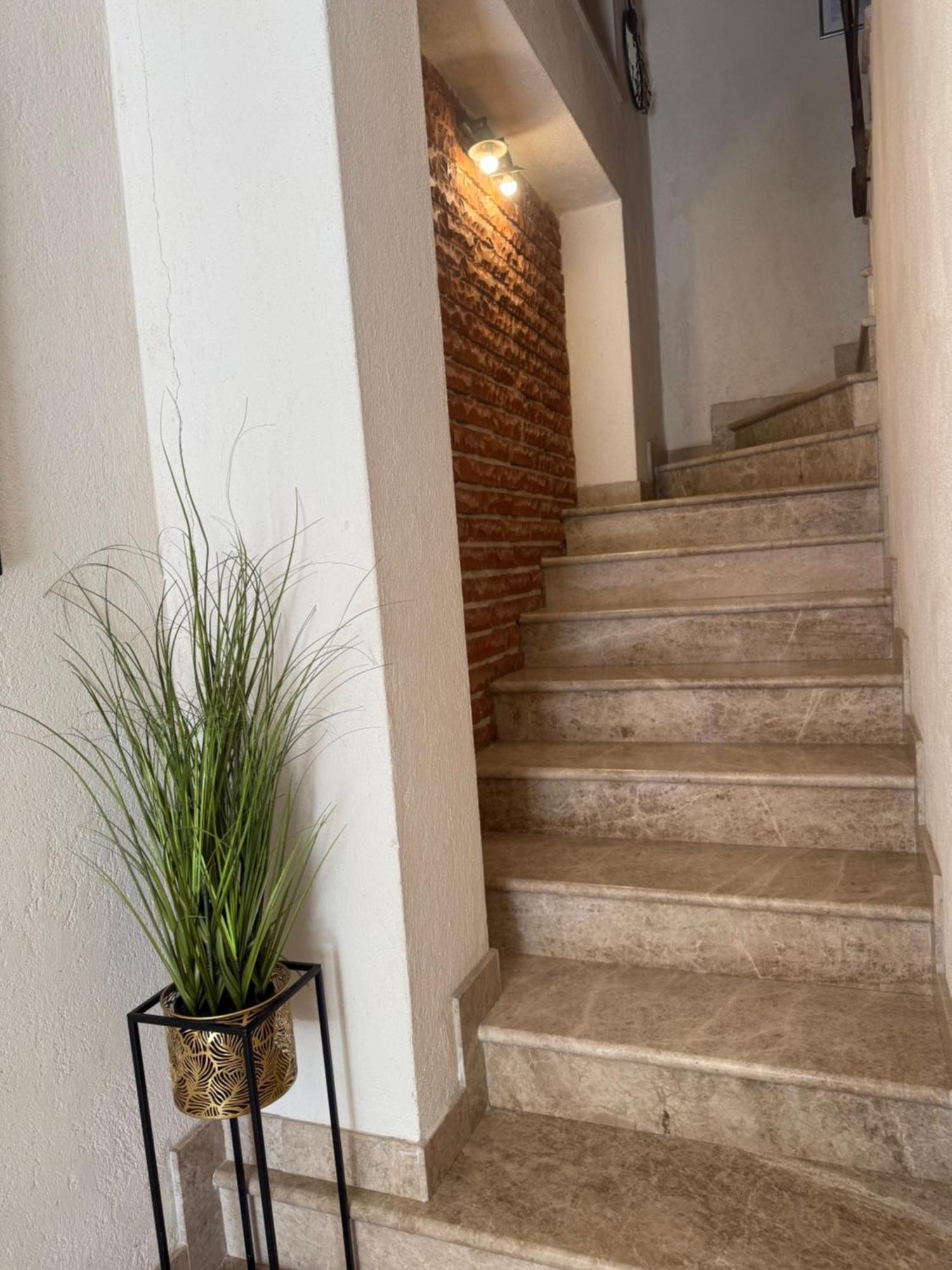 Skver Studio Apartments ヘルツェグ・ノヴィ エクステリア 写真